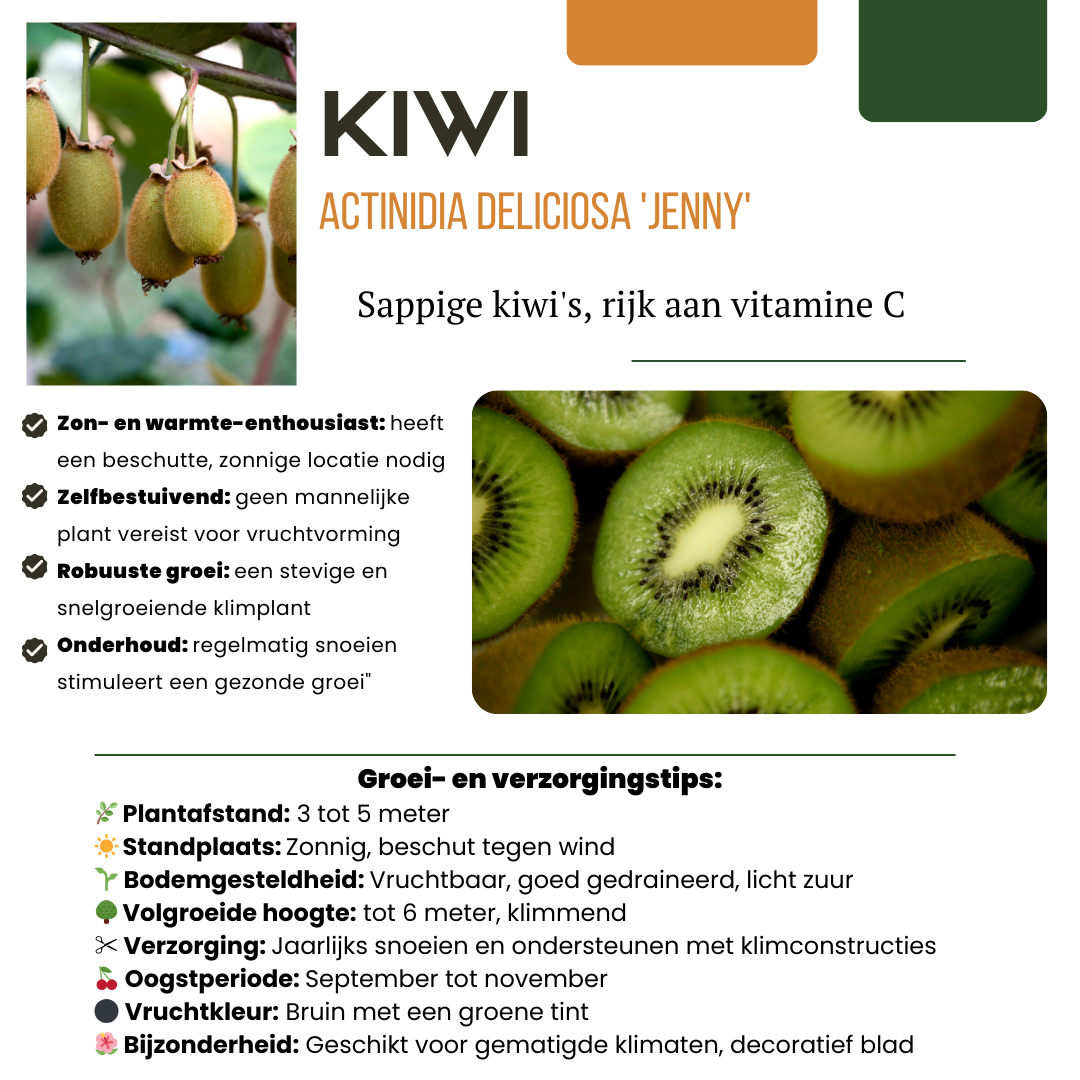 "Zoete oogst trio" BIO Fruitplanten mix set van 3 verschillende soorten