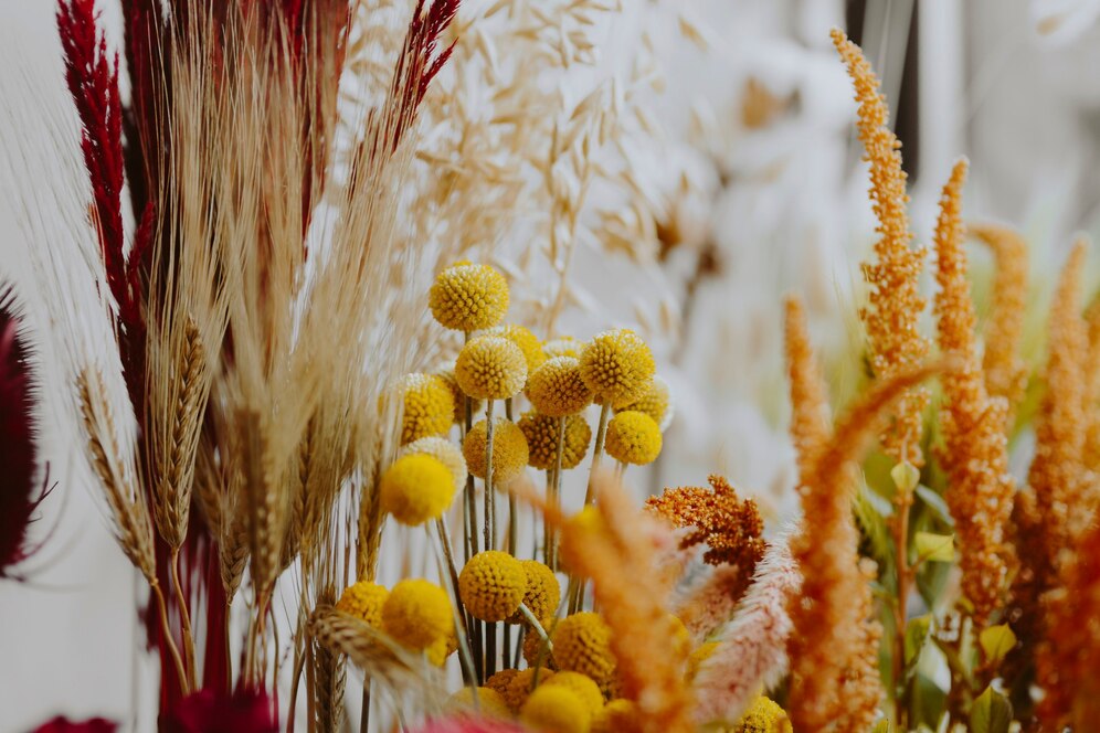 Droogbloemen
