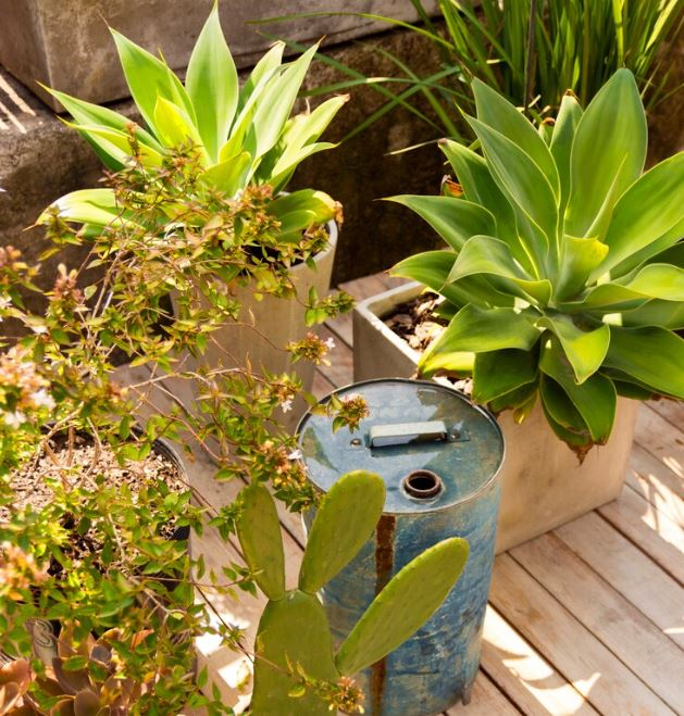 1. Buiten planten
