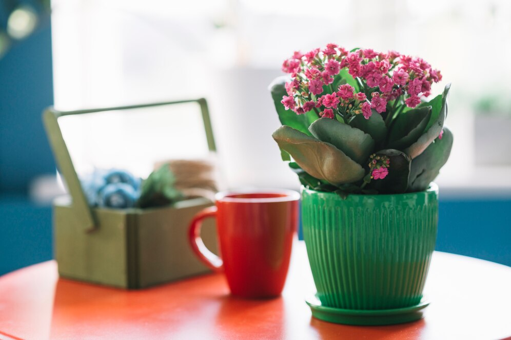 Najaar planten