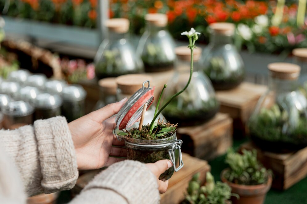 Terrariums